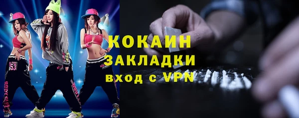 гидропоника Горняк