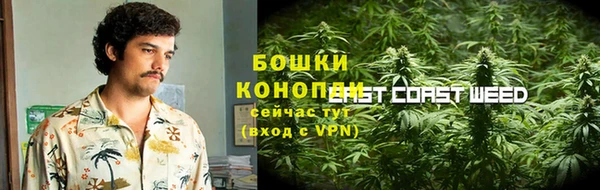 гидропоника Горняк